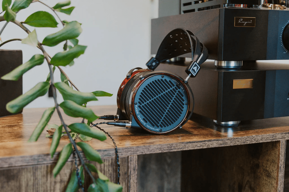 Audeze LCD-2 Padauk sitting on wooden table with cayin soul amp and plant