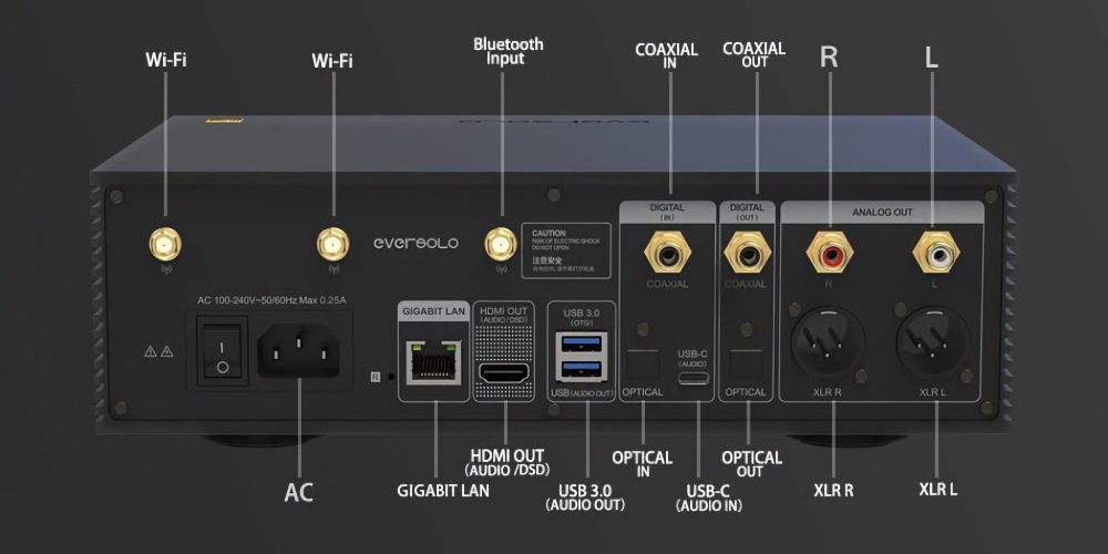 EverSolo DMP-A6  rear input and output diagram